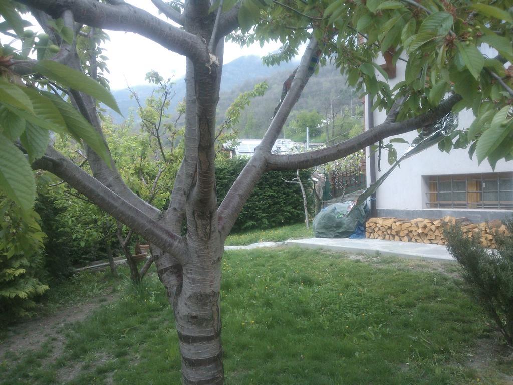 Casa Adriana Apartment Saint-Vincent Exterior photo
